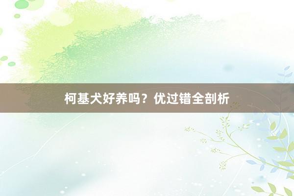 柯基犬好养吗？优过错全剖析