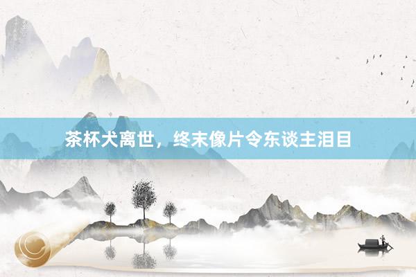 茶杯犬离世，终末像片令东谈主泪目
